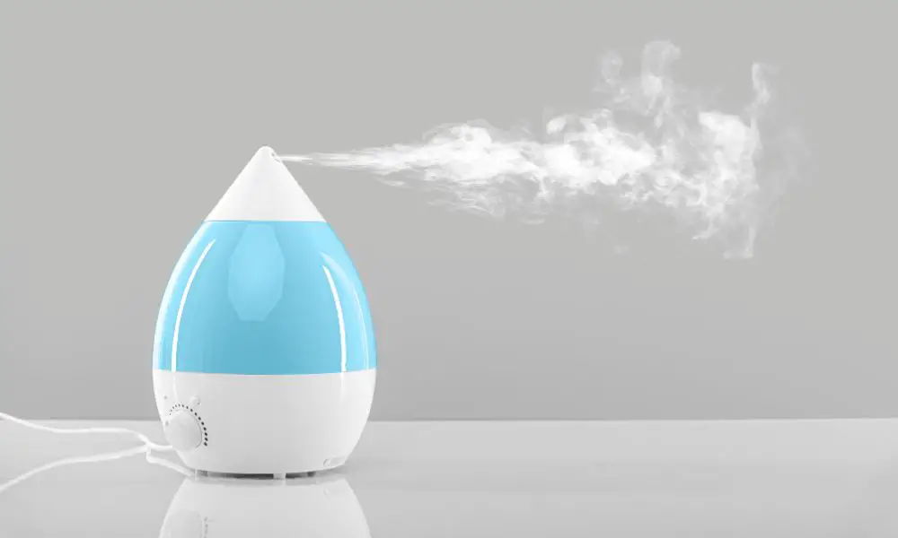 Best humidifier for bloody noses - 3 top humidifiers