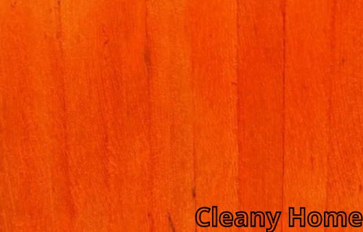 Cleany Home 2