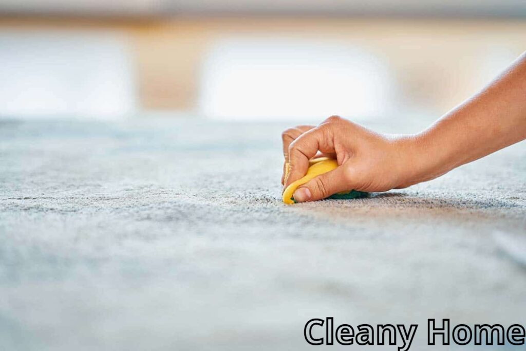 How To Clean Baby Powder From Carpet Like a Professional 