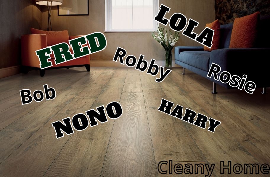 Funny Roomba Names [List]