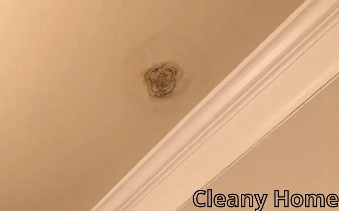 Cleany Home4