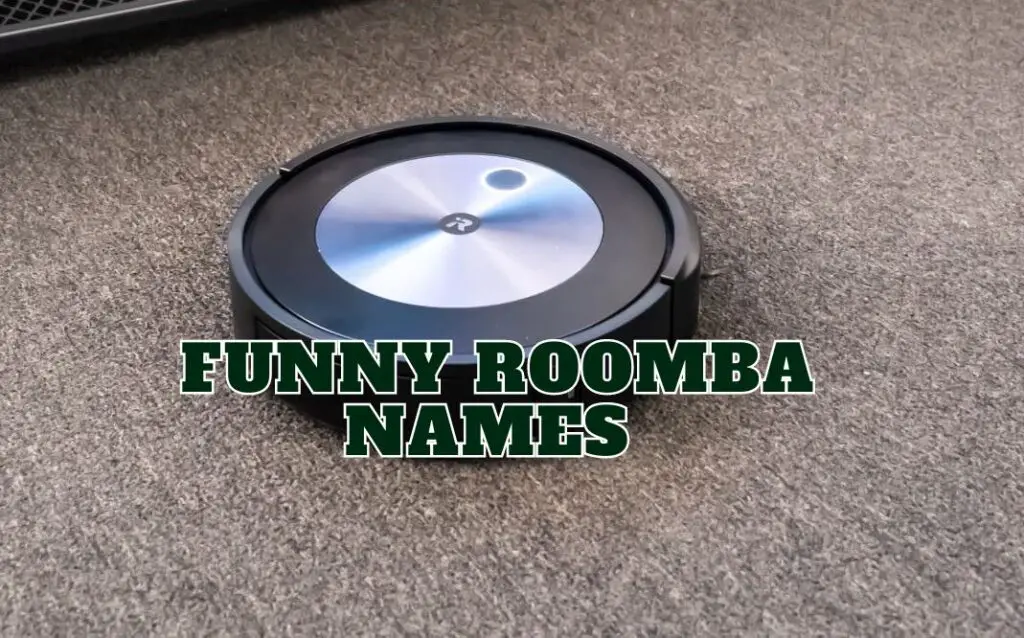 roomba names